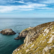 IMG_8742 (1)