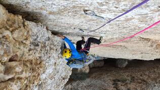 IMG_20210328_124940