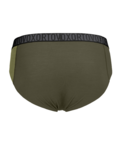 320459-88905-62701-150_ESSENTIAL_BRIEFS_M_dark_wild_herbs-B-02