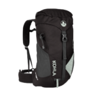 active-22l-caviar
