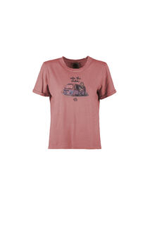 s25-dte009-wild-front-flamingo.jpg