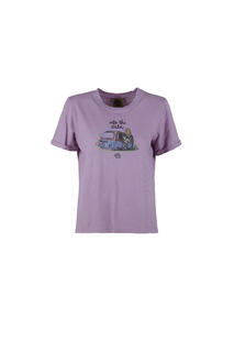 s25-dte009-wild-front-wisteria.jpg