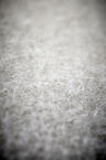 46267-60601-PEAK_45_dirty_daisy-D-05_2 MedRes