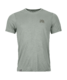 88164-63101-120_COOL_TEC_MTN_STRIPE_TS_M_green_sage-B-01