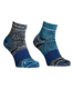 54881-54501-ALPINE_QUARTER_SOCKS_M_blue_nunatak-B-01