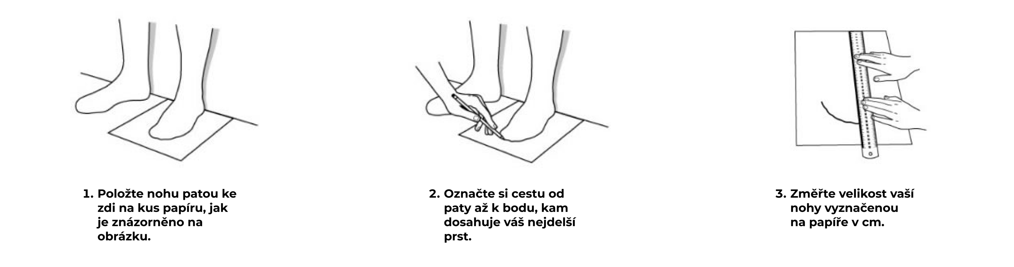tenaya-web-tabulka