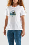 s25-dte009-wild-02
