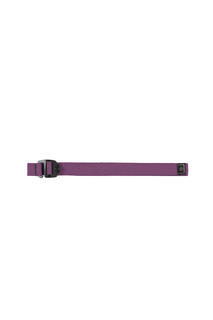 w25-acc070-fergancio-raspberry