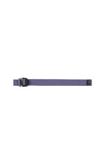 w25-acc070-fergancio-wisteria