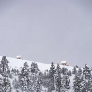 _DSC1748