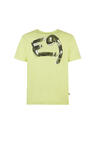 s26-ute004-scoop-back-mimosa