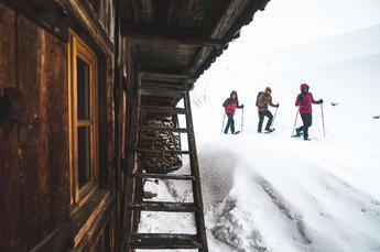 TSL Snowshoes - 21 - © Stef Candé (13)RS (1)