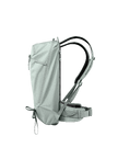 Dorsa_22_7.png