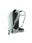 Dorsa_22_6.png