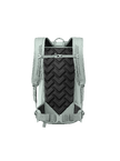 Dorsa_22_5.png