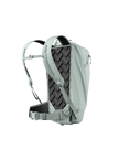 Dorsa_22_4.png