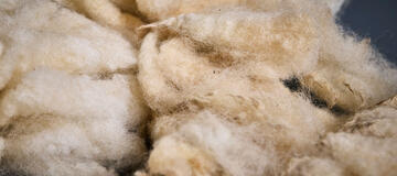 swisswool 2_MedRes (1)