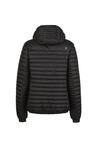 W20-DJK003_pop-back