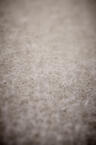 46267-60601-PEAK_45_dirty_daisy-D-05